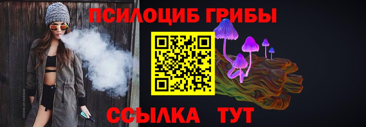 Галлюциногенные грибы мухоморы  Псилоцибиновые грибы мухоморы  где можно купить наркотик  Великий Устюг  Вход с VPN 